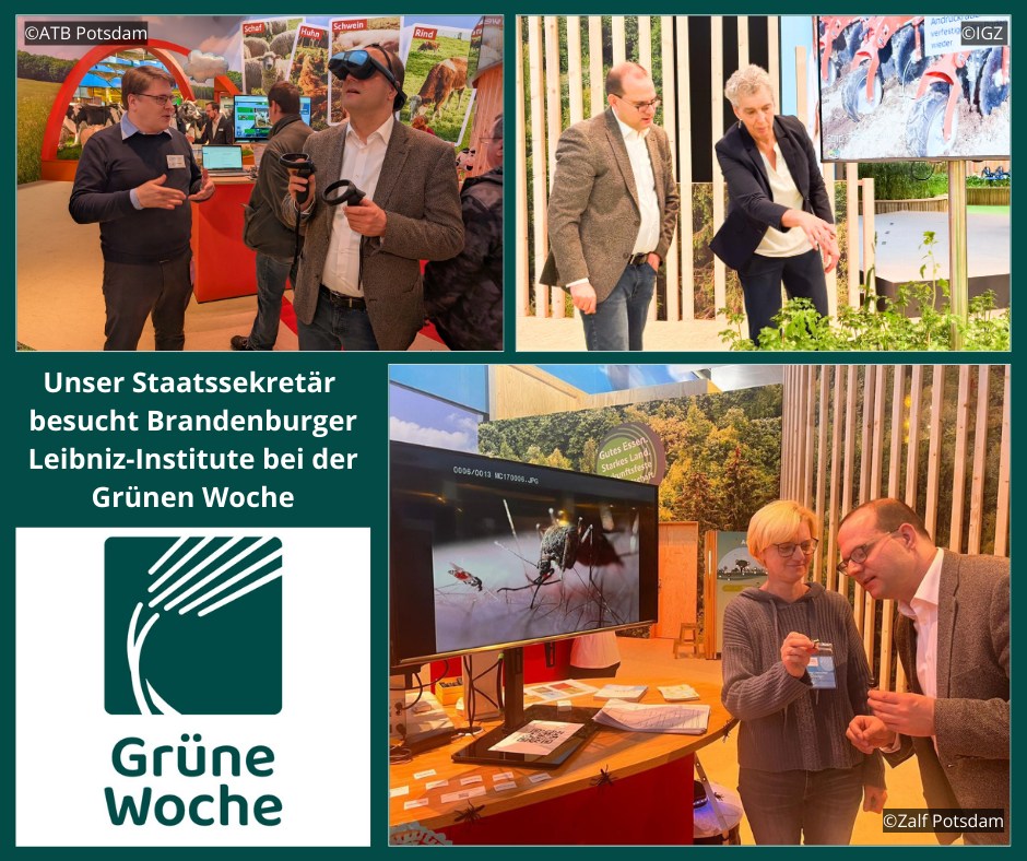 Brandenburger Forschungseinrichtungen au der Grünen Woche