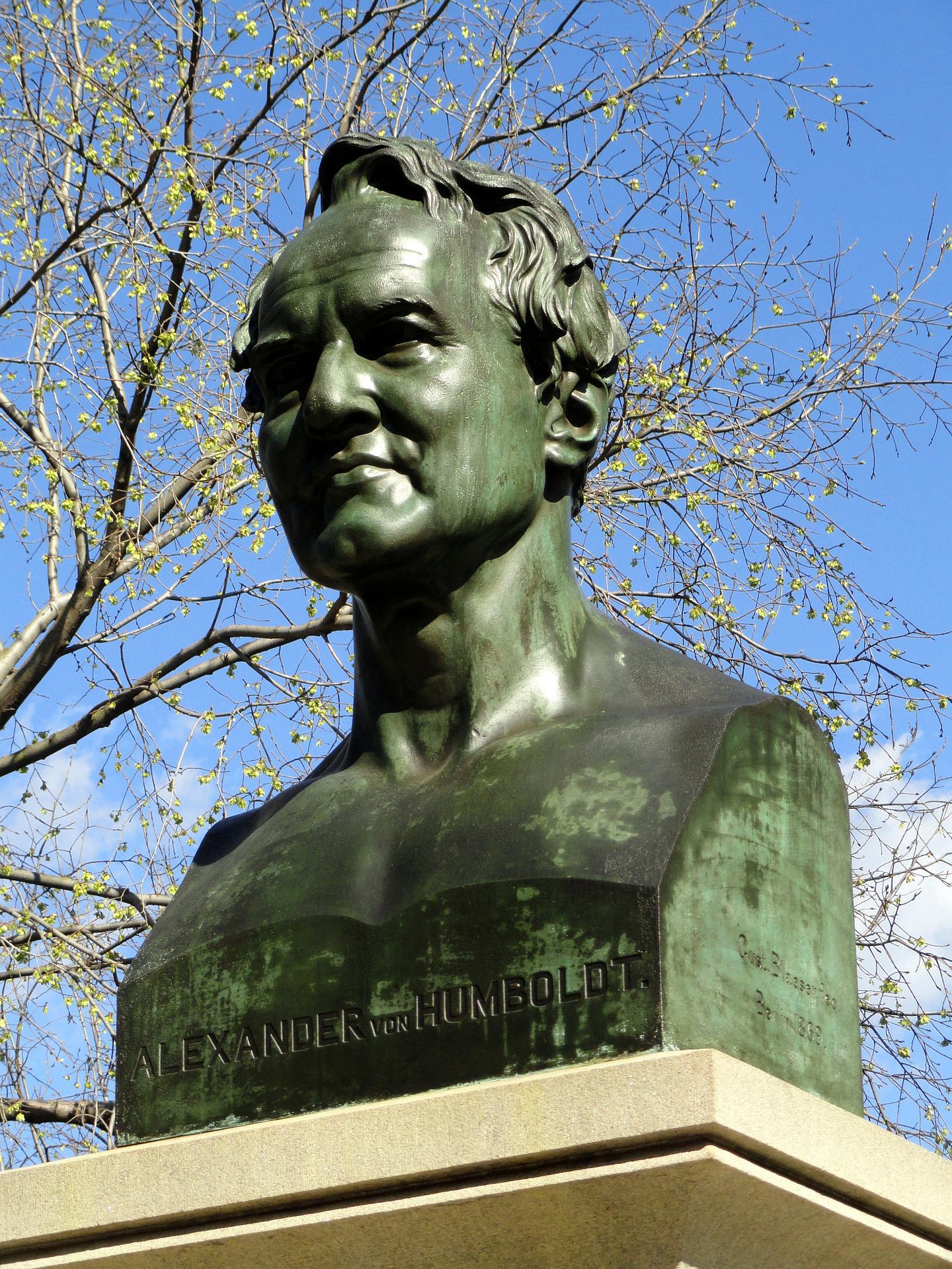 Alexander von Humboldt-Professur